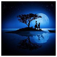 Meidexian888 DIY 5D Diamond Painting,5D Embroidery Paintings Rhinestone Pasted DIY Diamond Painting Cross Stitch Full (B)