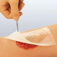 Smith & Nephew Cuticerin Gauze Dressing - 4 x 4 Inch