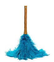 AVIAN COLOR FEATHER DUSTER. (Teal)