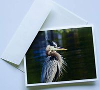 Bird Note Cards Original Elegant Photographic Textured White Blank 4.25"x 5.50" Boxed Set 8 W/Matching Envelopes In Plastic Jacket Thank You Invitations Birthdays Greetings Just Because