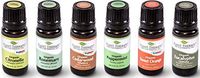 Plant Therapy Organic Essential Oil Sampler Gift Set Includes USDA Certified Organic: Eucalyptus, Peppermint, Rosemary, Cedarwood, Sweet Orange and Citronella 10 mL (1/3 Ounce) Each