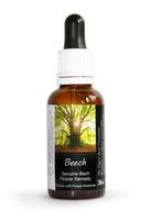 Beech Bach Flower Remedy Large 30ml. Genuine Traditionally Made Essence