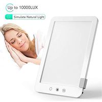 Light Therapy Lamp, Bright Adjustable 10,000 Lux with Multi-Angle Bracket, 3 Brightness Modes