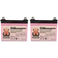 Charity Battery 12V 35Ah SLA Battery Replacement for Hoveround MPV5-2 Pack
