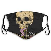 Getrichstore Washable Skateboarding Skull Halloween Themed Patterned Face Mask for Outdoor Running, Reusable Dust Mask with Activated Carbon Filter Adjustable Earloop