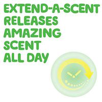 Gain Ultra Flings Liquid Laundry Detergent Pacs Designed for Large Loads, Original Scent with Fireworks in-Wash Scent Booster