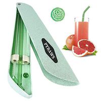 PYRAWS Glass Smoothies Straws Bubble Tea - 8 inch x 8 mm, Cleaning Brush, Portable Case, Healthy, Shatter Resistant, Hot Drinks, Travel Straw Set, Reusable Drinking Straw Case Set (Green)