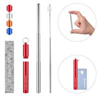 lovelife essentials Reusable Metal Stainless Steel Straws with Case and Cleaning Brush - 9.25'' Telescopic Collapsible Straw 2019 New Design (Red)