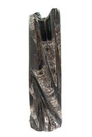 Orthoceras Fossil Standing Polished Display Piece ORTHS06