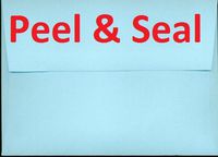 A2 100 Blue Peel and Seal (4 3/8" x 5 3/4") 4x5 Wedding Shower Announcement Photo Envelopes