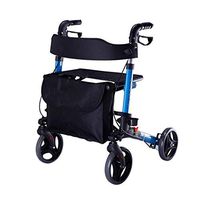 Elderly Walker Disabled Walker Auxiliary Walker