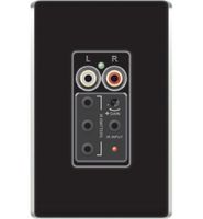Legrand - On-Q AU1004BK lyriQ Flush Mount Single Source Input, Black (Wall Plate not included)