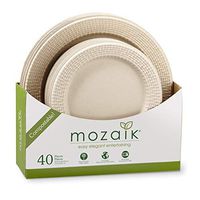 Mozaik PWMPL40 Eco-Friendly Plant-Based Compostable Woven Rim Dinner & Accent Plate Set