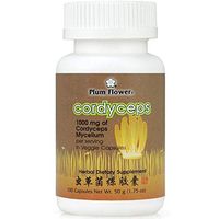 Cordyceps Mushroom Mycelium Capsules, Dong Chong Xia Cao, 100 Veggie Caps