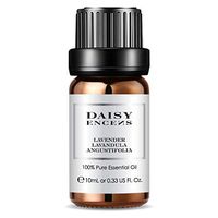 DAISY ENCENS 100% Natural Pure Essential Oil Lavender,0.33 Fl. Oz.