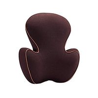 Jueven Lumbar Support Pillow/Back Cushion, Memory Foam Orthopedic Backrest for Car Seat, Office/Computer Chair and Wheelchair,Breathable & Ergonomic Design for Back Pain Relief (Color : Brown)