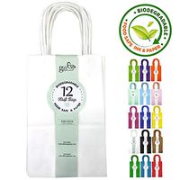 12CT SMALL WHITE BIODEGRADABLE PAPER, PREMIUM QUALITY PAPER (STURDY & THICKER), KRAFT BAG WITH COLORED STURDY HANDLE
