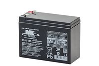MK Battery ES10-12S Maintenance-Free Rechargeable Sealed Lead-Acid Battery