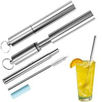 Reusable Drinking Straws, Collapsible Food-grade Stainless Steel Metal Travel Straw with Aluminum Case & Cleaning Brush, Silver