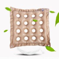 DGS Decubitus Cushion/Inflatable Seat Comfort Air Inflatable Buttocks Pressure Ulcer Seating Cushion With Pump Suit For Wheelchair,Car,Office,Home,Bed (Complexion)