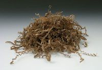 10 lb. Box of Crinkle Cut Paper - Kraft - AB-240-4-01