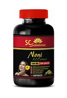 Energy Booster - NONI Extract 500Mg - Noni Extract Powder - 1 Bottle 60 Capsules