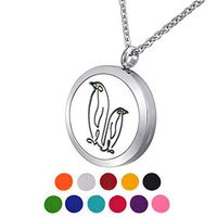 HOUSWEETY Aromatherapy Essential Oil Diffuser Necklace-Stainless Steel Locket Locket,11 Refill Pads(Non-engraving)