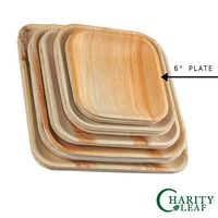 Charity Leaf 6" Disposable Palm Leaf Bamboo Like Square 25 Plates | All Natural, Biodegradable and Chemical Free | Weddings, BBQs, and Parties (Pack Of 25)