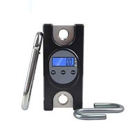 WZ Crane Scale, Mini 300 Kg/ 660 Lb Industrial Heavy Duty Digital Hanging Scales for Home Farm Factory Hunting Outdoor Fishing Weighing Electronic (Capacity : 200KG)