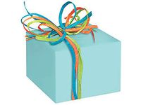 Gloss Color Gift Wrap Paper - Aqua Gloss 24"x417' Solid Color Gift Wrap Counter Roll (1 roll) - Wraps -3278H24
