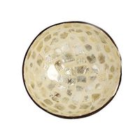 homeart Coconut Bowl, Ring Bowl, Tree Planter, Seashell Lacquer