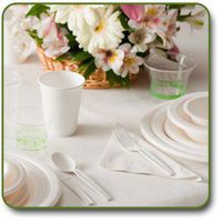 Biodegradable Disposable Party Place Setting Set Tableware