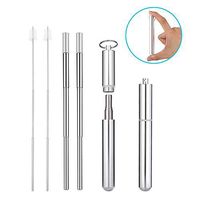 Portable Reusable Drinking Straws - Telescopic Stainless Steel Metal Straw with Aluminum Case & Cleaning Brush (2 Pack, Sliver)