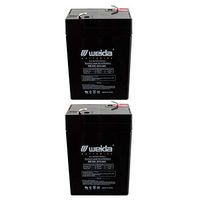 2PC 6V 4.5Ah SLA Battery Rechargeable SLA Replace UB645, D5733, PS640F Fast USA Ship