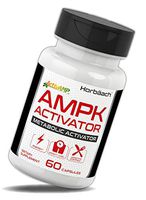 Horbaach AMPK Metabolic Activator 450 mg (60 Capsules) | Supports Weight Management | Non-GMO, Gluten Free | Jiaogulan Gynostemma