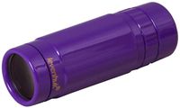 Levenhuk Rainbow 8x25 Handheld Amethyst Monocular with Close Focus of 3m, Glass Optics and Pocket-Size Body for Indoor and Outdoor Use