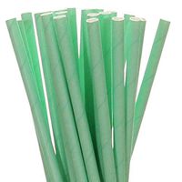 Biodegradable Paper Straws Mint Green Solid (25)