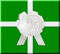 Extra Long Holiday Green Gift Wrap Wrapping Paper Large 18ft Roll