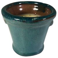 Swan Creek Cambria Lg Fresh Cut Christmas Tree