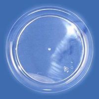 Sovereign Clear 9-inch Plastic Plates 25 Per Pack