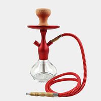 Weiduoli 1 Hose Hookah Shisha Pipe Narghile Party Smoking Set 3513cm