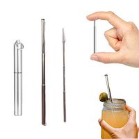 SAISN Straws Drinking Reusable Telescopic Stainless Steel Straw Portable with Key Ring Case & Cleaning Brush (Silver)