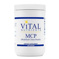 Vital Nutrients - MCP (Modified Citrus Pectin) - Immune System Support - Vegetarian - 360 Grams per Bottle