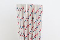 Red and Blue Pennant Banner Paper Straws (75)