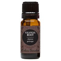 Edens Garden Galangal Root Essential Oil, 100% Pure Therapeutic Grade (Highest Quality Aromatherapy Oils- Cold Flu & Sleep), 10 ml