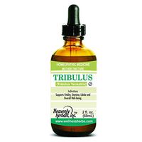 Tribulus Terrestris Q – Mother Tincture Homeopathic - 97% Total Saponins, Extra Strength - US-Made, Non-GMO, Gluten-Free, 2.Fl Oz