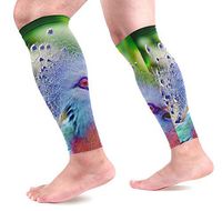 LEVEIS Colorful Victoria Crowned Pigeon Arm Sleeves UV Protection for Men Women Sunblock Protective Gloves Running Golf Cycling Driving Long Arm Cover 1 Pair