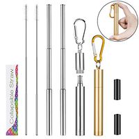 2 Pack Collapsible Reusable Drinking Straws, Portable Stainless Steel Metal Straw Telescopic Silver Straw with Silicone Tip, Cleaning Brush, Keychain & Aluminum Case Silver/Gold