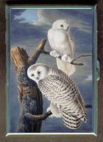 John James Audubon Snowy Owl Double-Sided Cigarette Case, ID Holder, Wallet with RFID Theft Protection