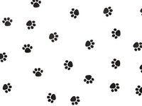 Pack Of 1, Paw Print Cello Roll 1.0 Mil 40" X 100' Made In USA